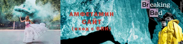 индика Алзамай