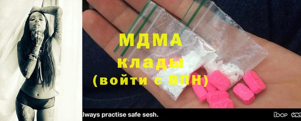 индика Алзамай