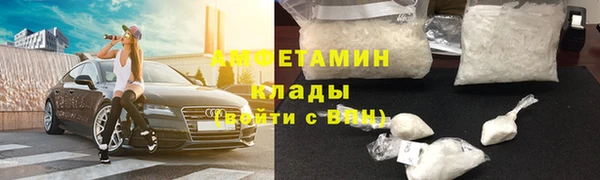 индика Алзамай