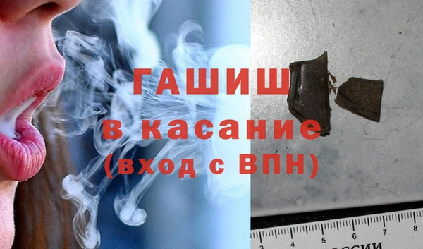 индика Алзамай