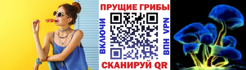 Галлюциногенные грибы Psilocybe Пикалёво