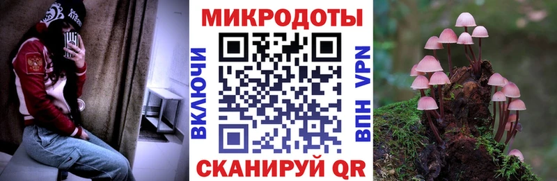 Галлюциногенные грибы Psilocybine cubensis  площадка Telegram  Пикалёво 