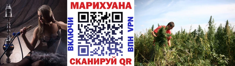 как найти наркотики  Пикалёво  Каннабис ГИДРОПОН 
